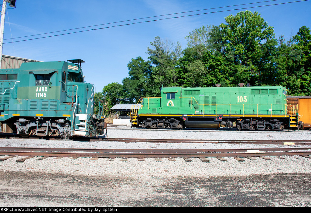 Geeps of different flavors rest in the Caney Fork & Western YArd 